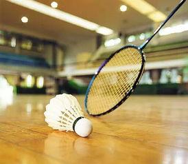 沈阳网红羽毛球,挥洒激情，羽动青春风采